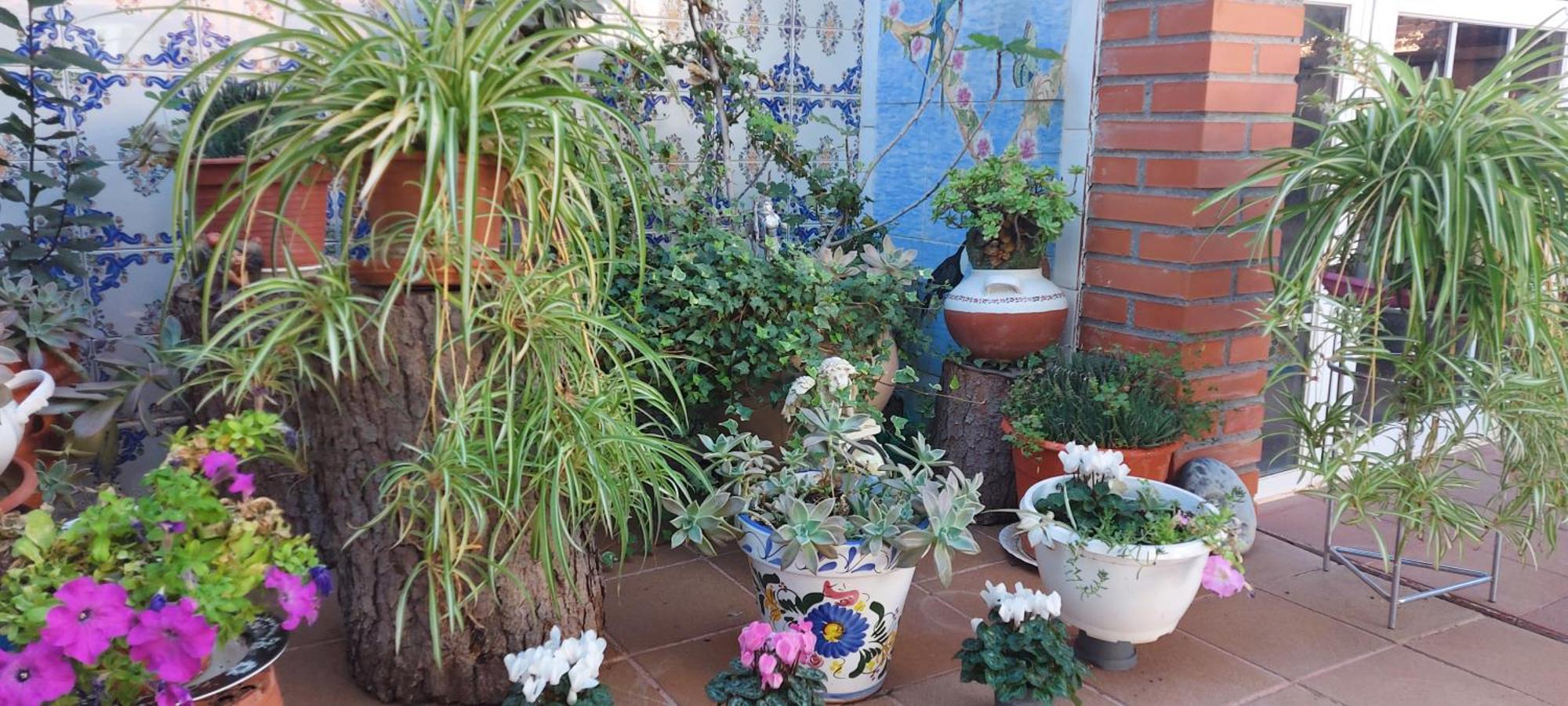 Habitacion,Piscina Y Jardin Azuqueca de Henares Zewnętrze zdjęcie